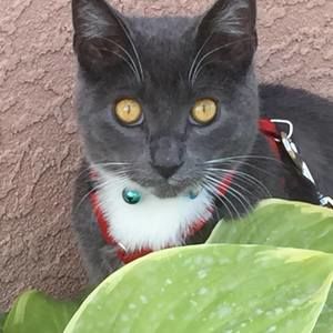 Meet your Posher, Deb